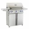 American Outdoor Grill 30 Inch Gas Grill On Cart -KICKASS GRILLS Sales 30pcl l series port a 03 20