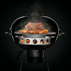 Napoleon 67745 Charcoal Ring And Diffuser Plate -KICKASS GRILLS Sales 67745 b 06 22