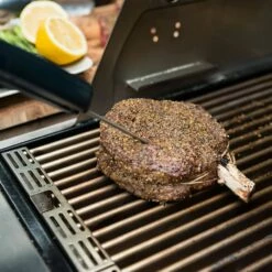 Saber A00AA3814 EZ Temp Digital Thermometer -KICKASS GRILLS Sales a00aa3814 ls a 02 20