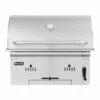 Bull BG-88787 30-Inch Bison Premium Built-In Charcoal Grill