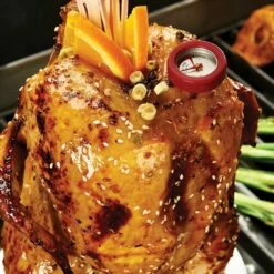 Broil King 69132 Stainless Steel Chicken Roaster -KICKASS GRILLS Sales bk 69132 ls a 06 20