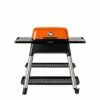 Everdure HBG2 Force Freestanding Gas Grill, 46.25-Inches -KICKASS GRILLS Sales force o