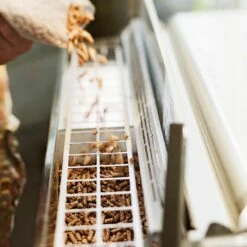 Memphis Grills MGAPPLE All-Natural Wood Pellets, Apple -KICKASS GRILLS Sales mg pellets b 02 20 3