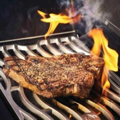 Napoleon P500RSIBK-3-PHM Phantom Prestige 500 Gas Grill On Cart With Infrared Side And Rear Burners -KICKASS GRILLS Sales p500rsibk 3 phm config e 11 22