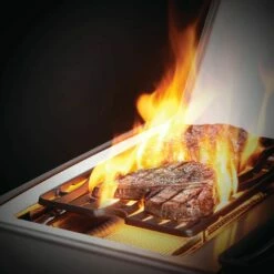 Napoleon RSE425RSIBSS Rogue SE 425 Gas Grill On Cart With Infrared Side And Rear Burners, 23.75-Inches 13 Napoleon RSE425RSIBSS Rogue SE 425 Gas Grill On Cart With Infrared Side And Rear Burners, 23.75-Inches -KICKASS GRILLS Sales rse625rsibpss feat d 07 20