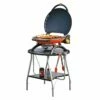 Napoleon TQ2225PO-STAND TravelQ Portable Gas Tabletop Grill With Base, Propane -KICKASS GRILLS Sales tq2225po tq2225 stand a 08 21