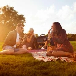 Napoleon TQ285-RD-1-A TravelQ Portable Tabletop Gas Grill, Propane -KICKASS GRILLS Sales tq285 lifestyle warm sunny day 1