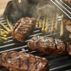 Weber Spirit E-210 2-Burner Freestanding Propane Gas Grill (WEB-46110001) -KICKASS GRILLS Sales web 46110001 feat a 05 22