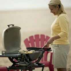 Weber Q2200 Portable Propane Gas Grill With Side Tables On Scissor Cart (WEB-54060001-WEB-6557) -KICKASS GRILLS Sales web 54060001 ls a 05 22