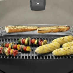 Weber Q3200 2-Burner Freestanding Gas Grill (WEB-Q3200) -KICKASS GRILLS Sales web q3200 config b 05 22