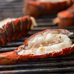 Weber Summit 6-Burner Built-In Gas Grill With Rotisserie, Sear Station And Access Doors (WEB-S-660) -KICKASS GRILLS Sales web s 460 feat d 05 22